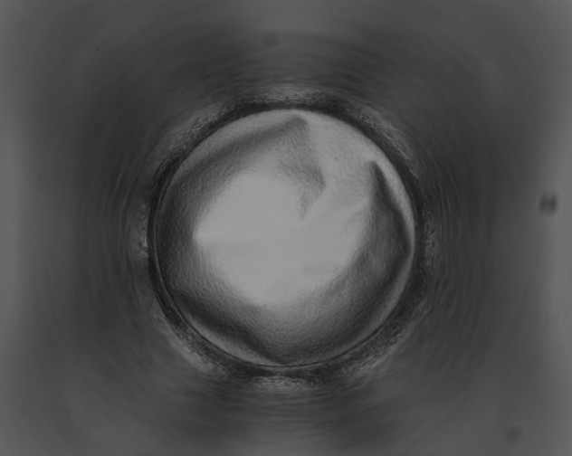 X0000091200633200708301601