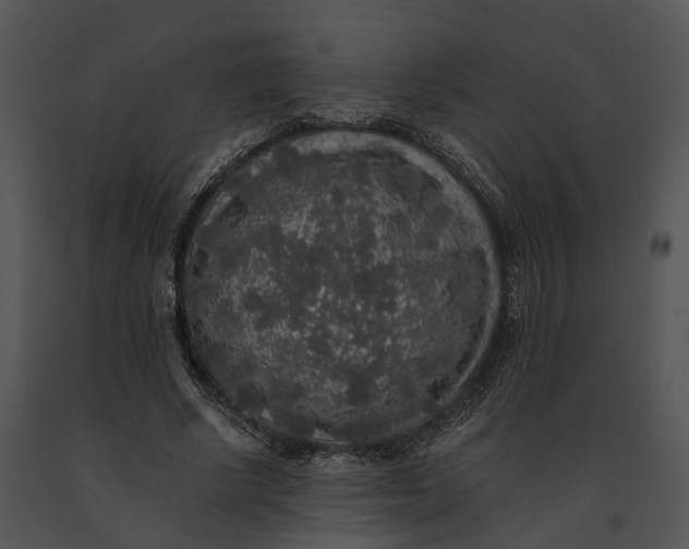 X0000091200634200708301601