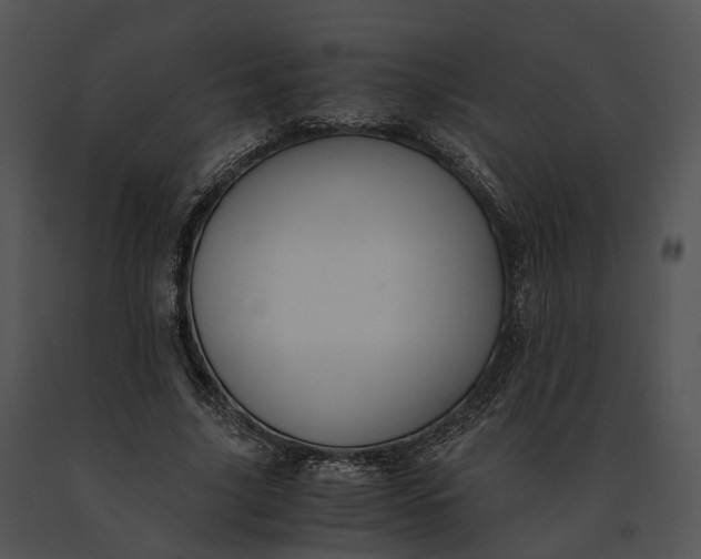 X0000091200635200708301601