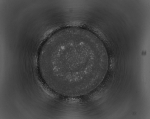 X0000091200636200708301601