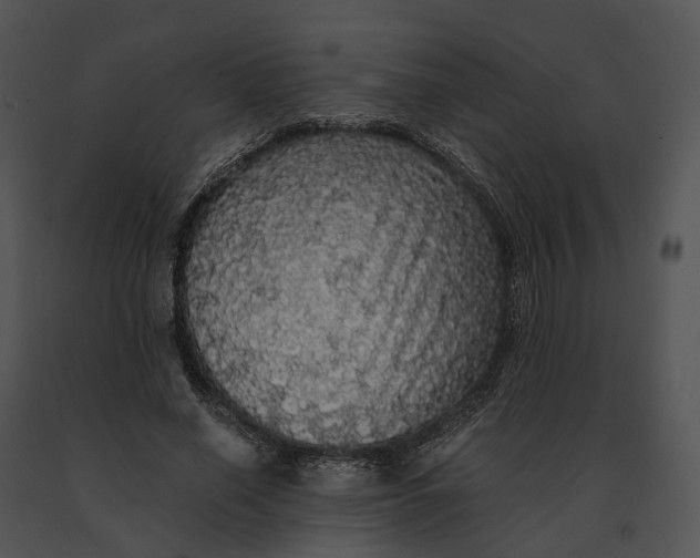 X0000091200638200708301601