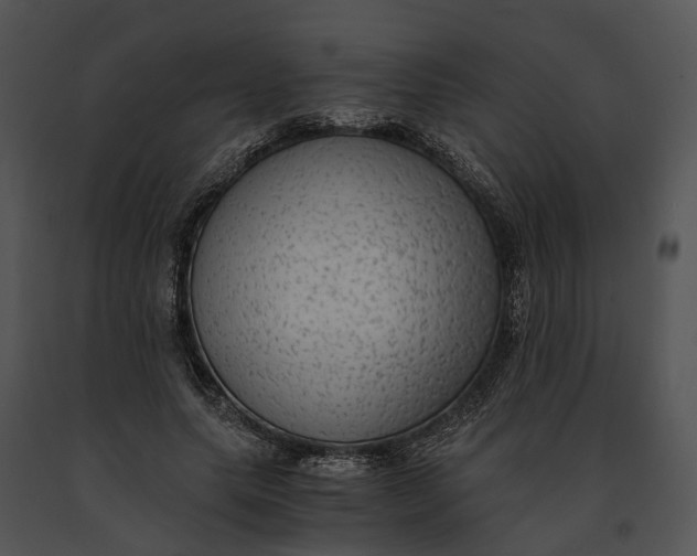 X0000091200639200708301601