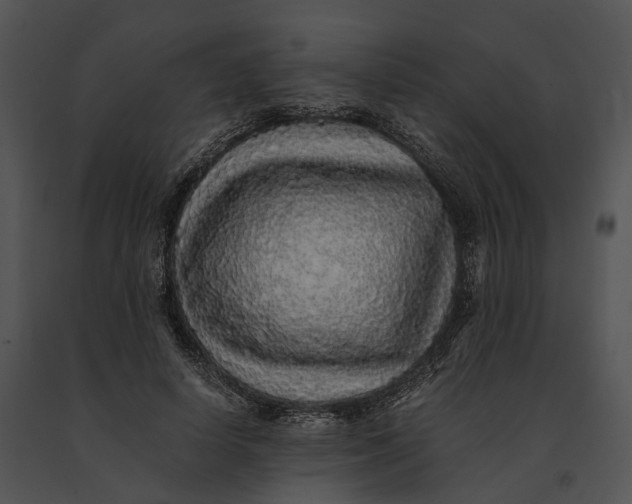 X0000091200642200708301601