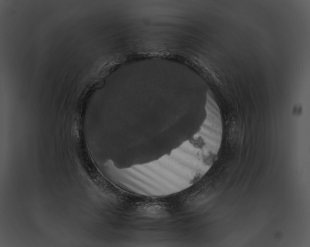 X0000091200643200708301601
