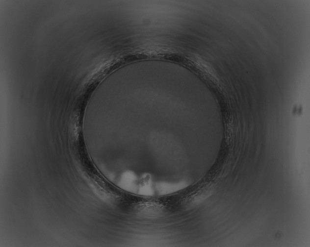 X0000091200644200708301601