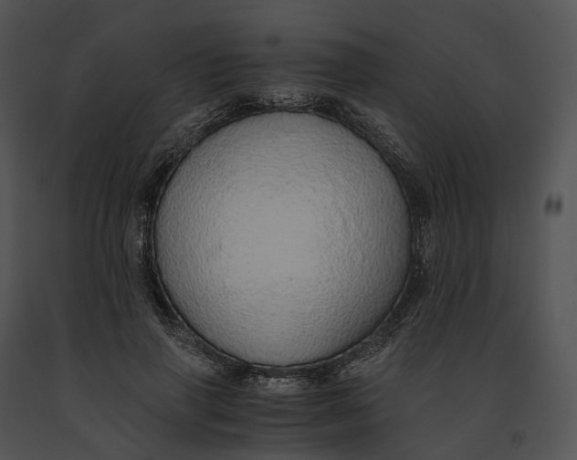X0000091200645200708301601