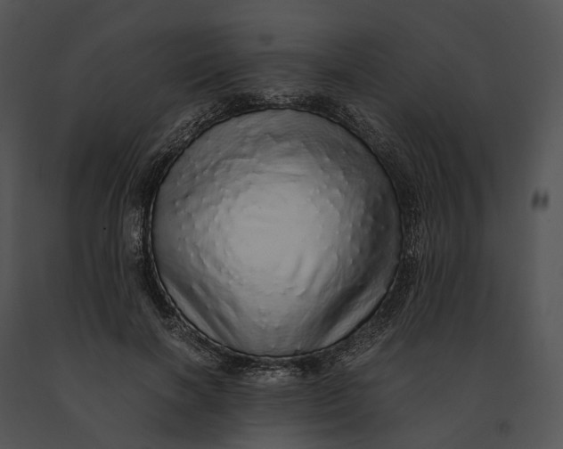 X0000091200646200708301601