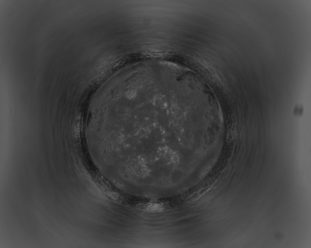 X0000091200647200708301601