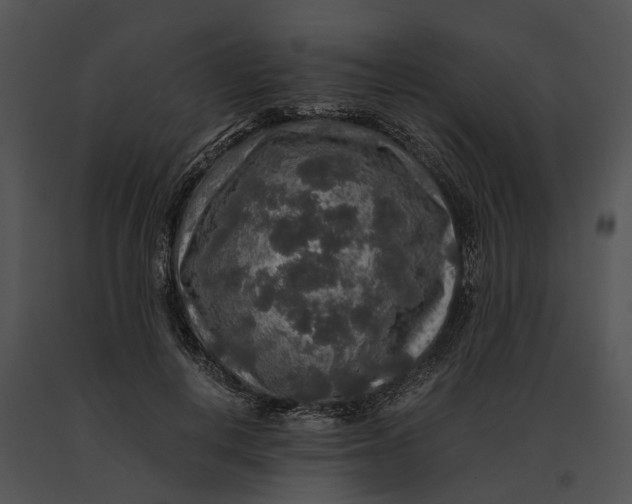 X0000091200648200708301601