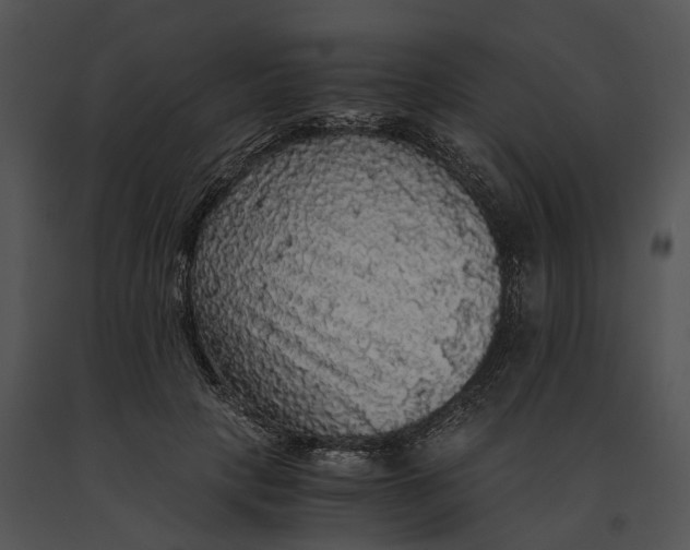 X0000091200649200708301601