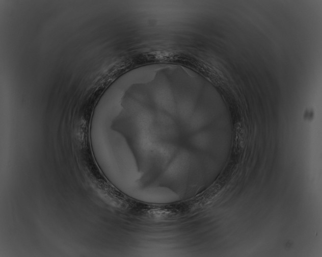 X0000091200650200708301601