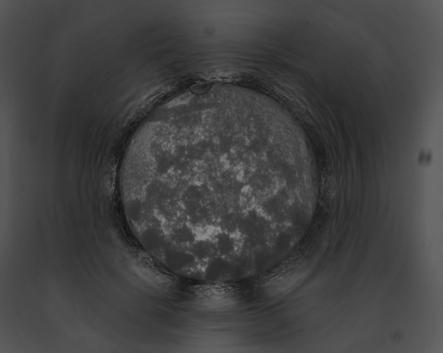 X0000091200652200708301601