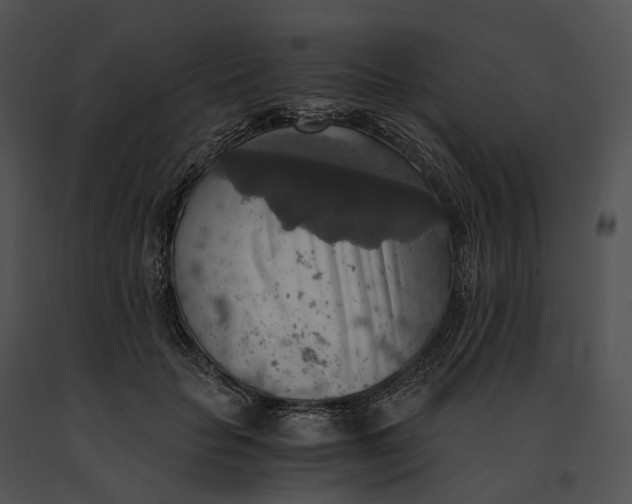 X0000091200653200708301601