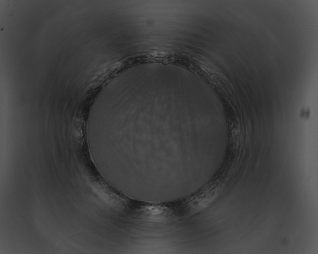 X0000091200654200708301601