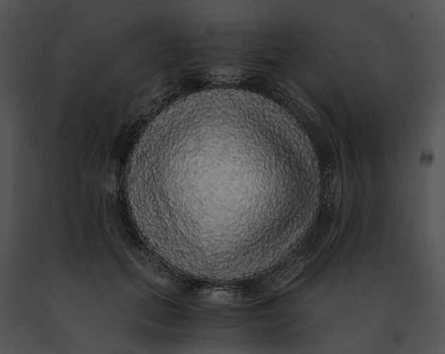 X0000091200655200708301601