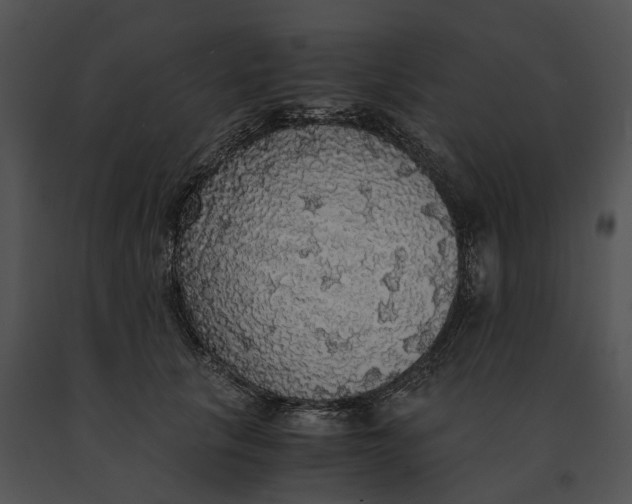 X0000091200657200708301601