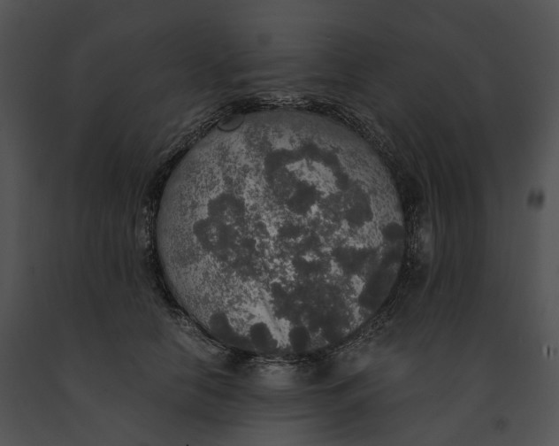 X0000091200658200708301601