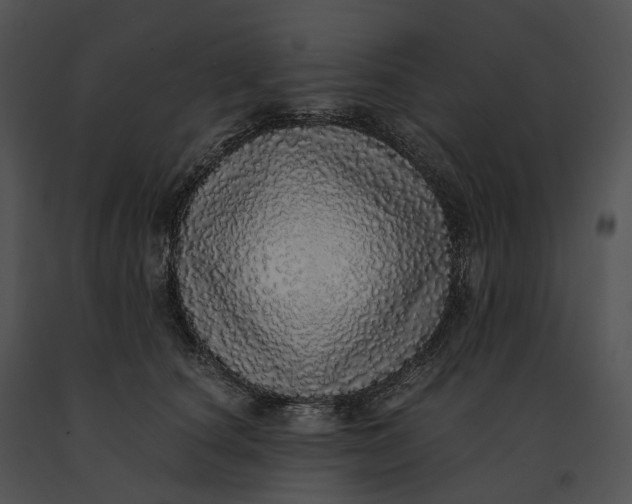 X0000091200660200708301601