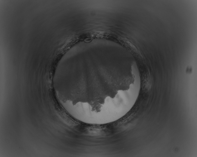 X0000091200661200708301601