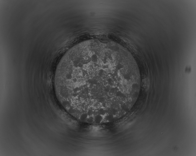 X0000091200662200708301601