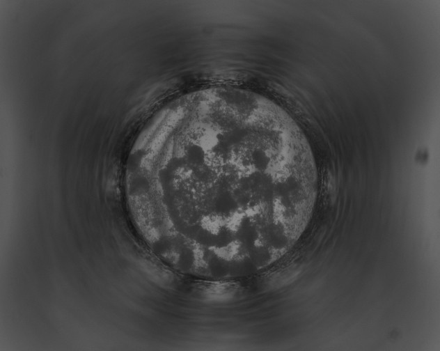 X0000091200663200708301601