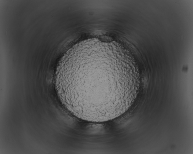 X0000091200665200708301601