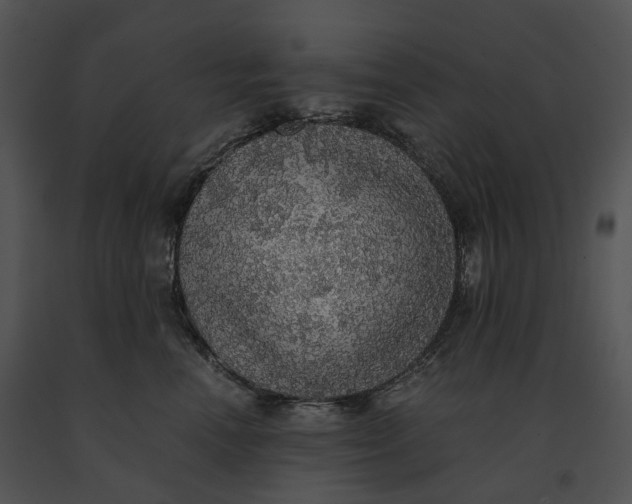 X0000091200666200708301601
