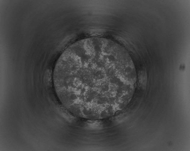 X0000091200667200708301601