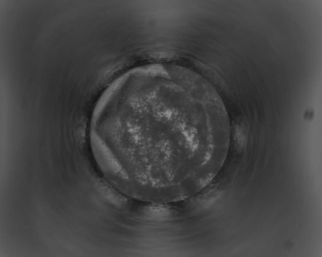 X0000091200668200708301601