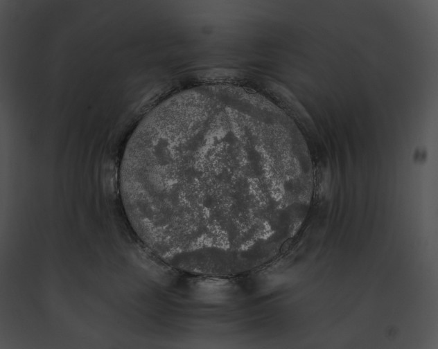 X0000091200669200708301601