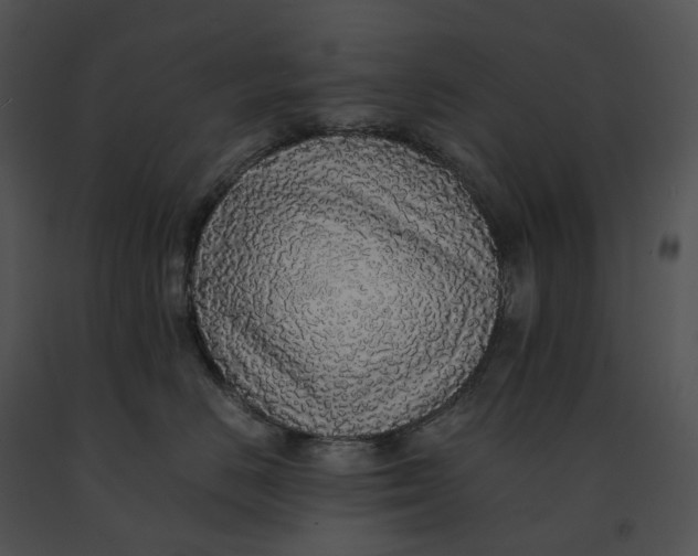 X0000091200670200708301601