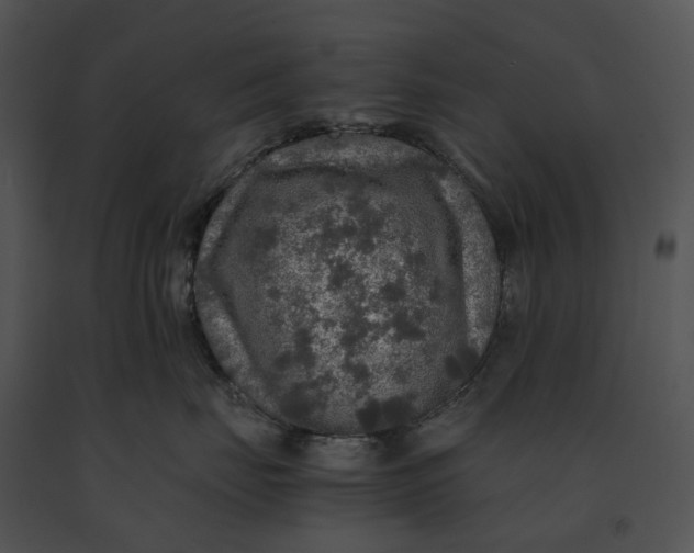 X0000091200671200708301601