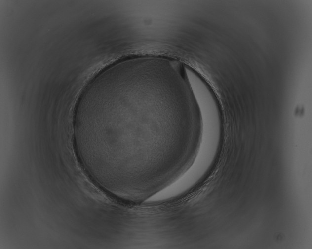 X0000091200673200708301601