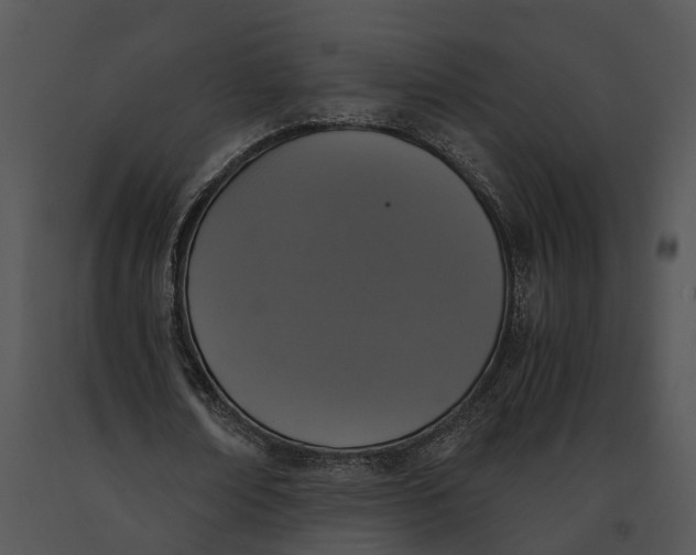 X0000091200674200708301601