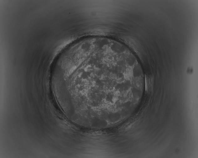 X0000091200675200708301601