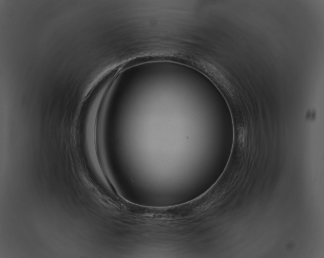 X0000091200676200708301601