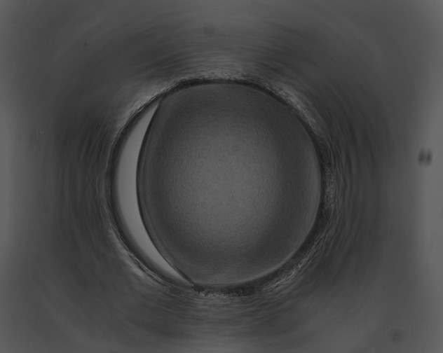 X0000091200677200708301601