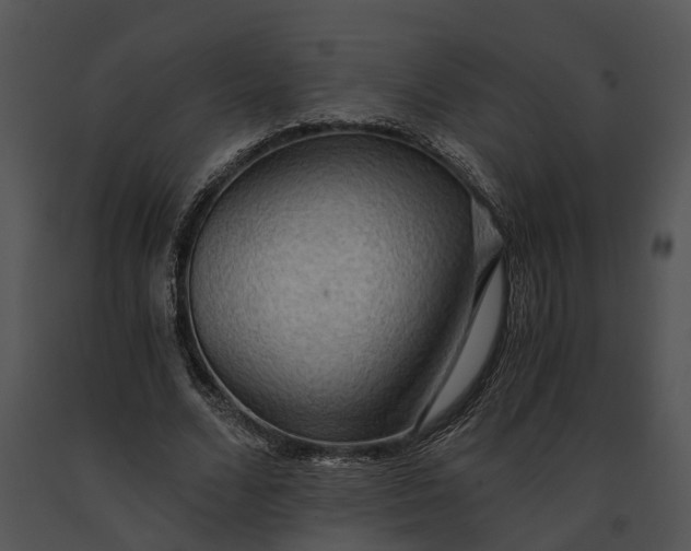 X0000091200680200708301601