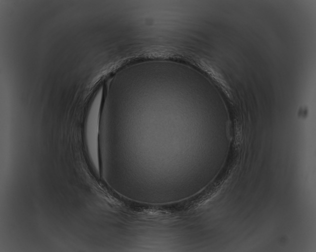 X0000091200681200708301601