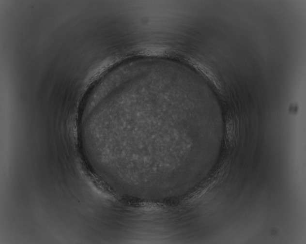 X0000091200682200708301601
