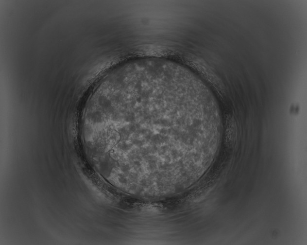 X0000091200683200708301601