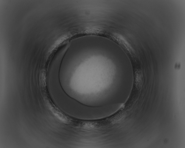 X0000091200684200708301601