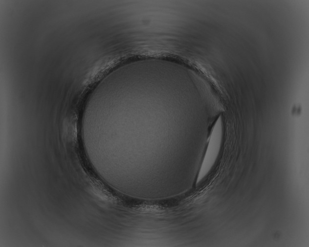 X0000091200685200708301601