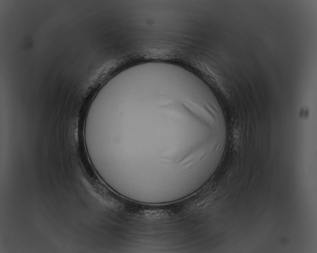 X0000091200686200708301601