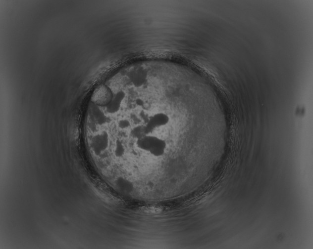 X0000091200687200708301601
