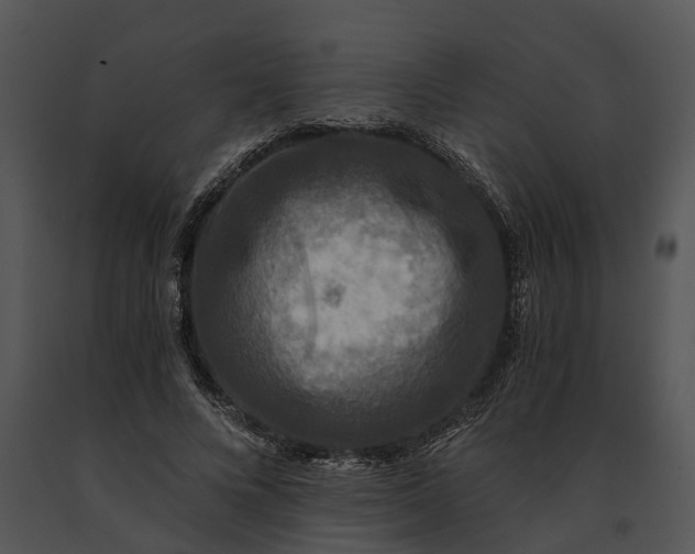 X0000091200688200708301601