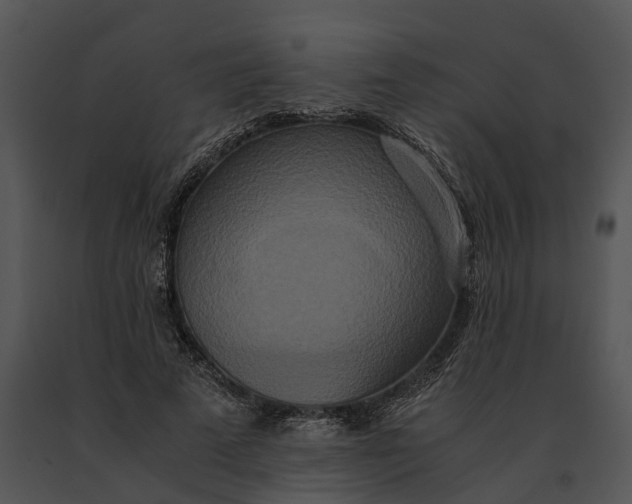 X0000091200689200708301601