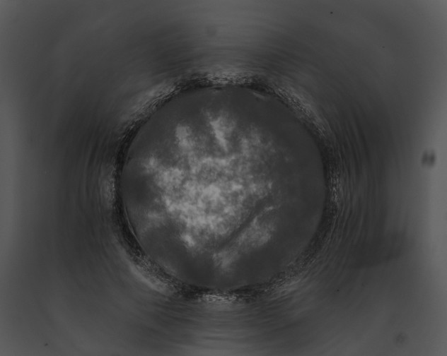 X0000091200690200708301601