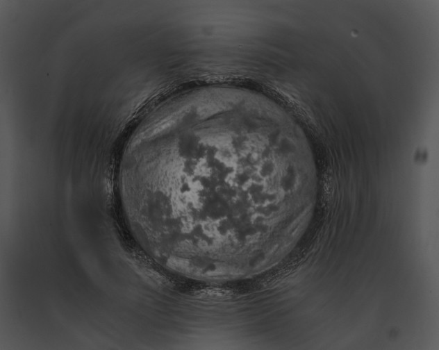 X0000091200691200708301601