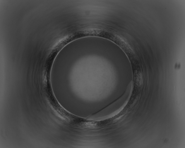 X0000091200692200708301600